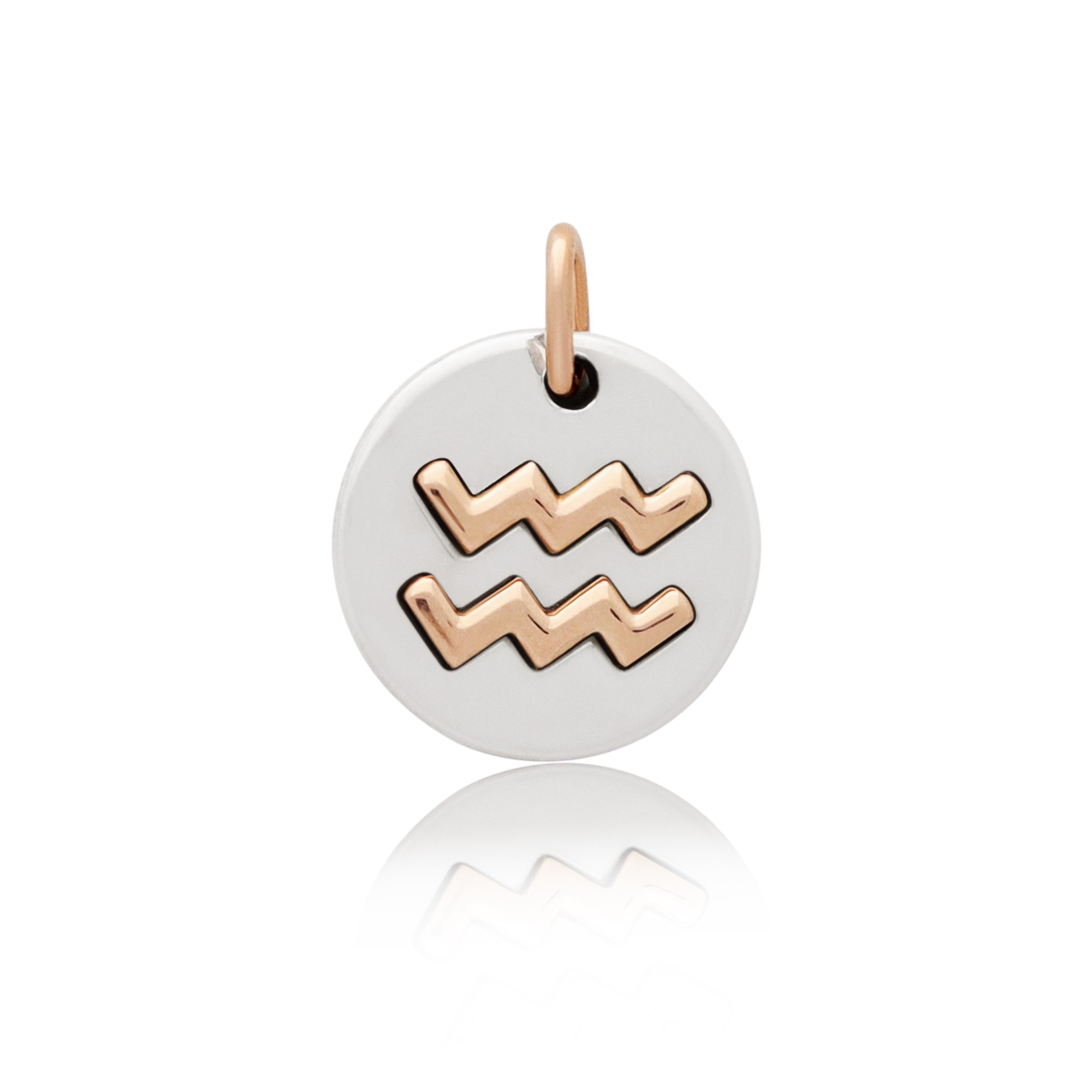 Charm in argento 925 e oro rosa 9kt Acquario Symbols Dodo - DODO